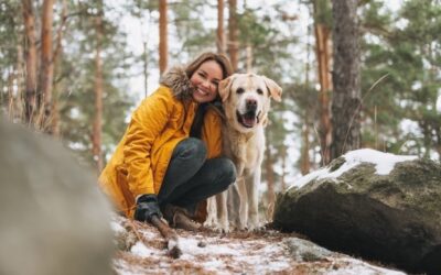 Learn How a Veneer Dentist in Warren Can Transform Your Smile